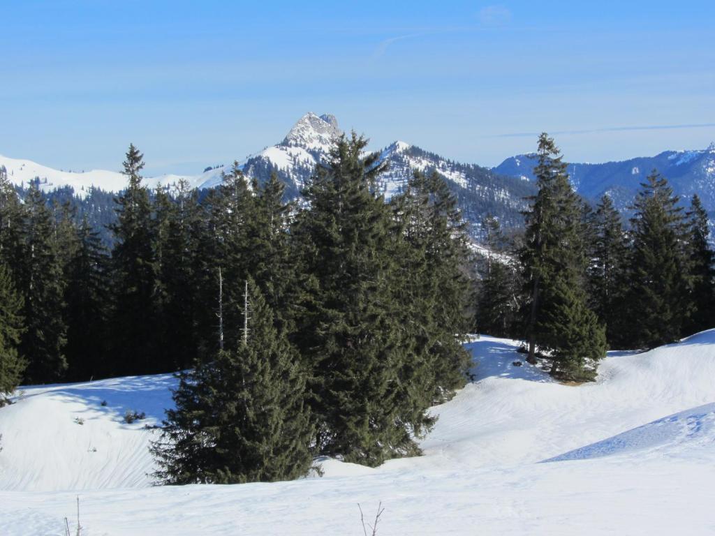 Hotel-Pension-Ostler Bad Wiessee Kültér fotó